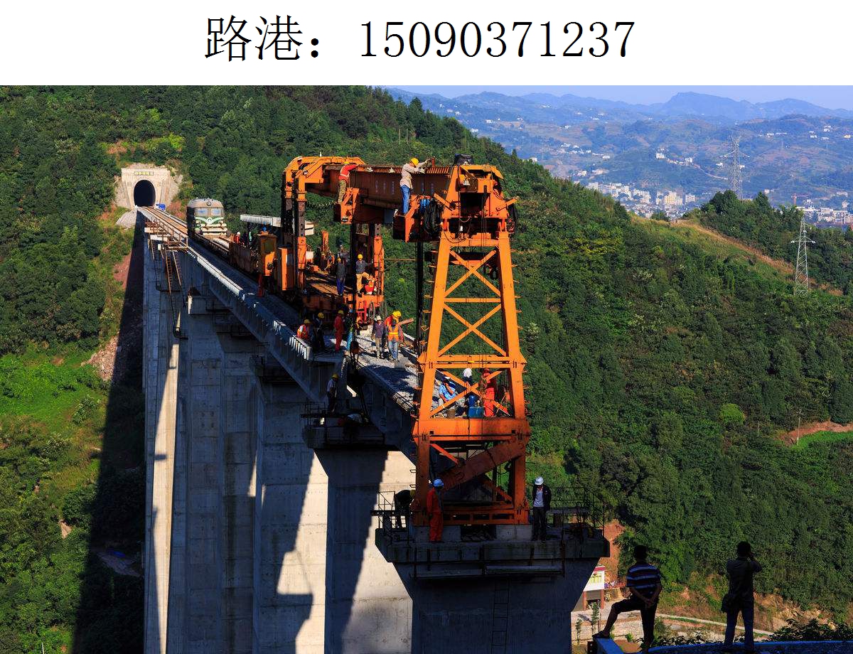 1237路港架橋機216