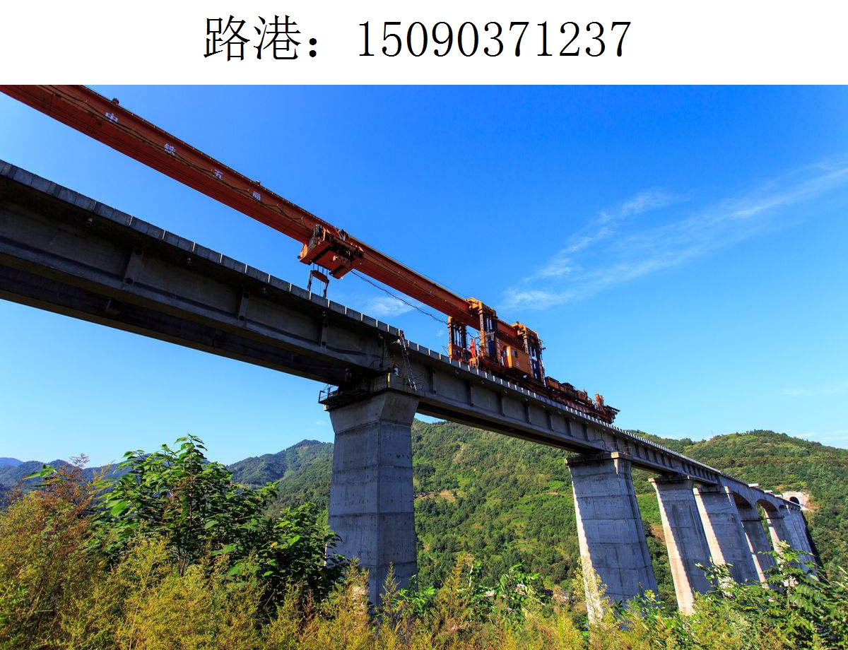 1237路港架橋機203